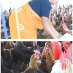  आजीविका मिशन से बदली तस्वीर: चर्रा की योगेश्वरी देवांगन बनीं महिला सशक्तिकरण की प्रेरणा