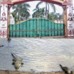  मगरमच्छ संरक्षण से बदली कोटमीसोनार की तस्वीर