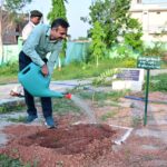 प्रभारी सचिव अंकित आनंद ने ‘एक पेड़ माँ के नाम’ अभियान के तहत किया पौधरोपण