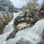 एकलव्य आदर्श आवासीय विद्यालय में कक्षा 6वीं प्रवेश काउंसलिंग 30 जून से