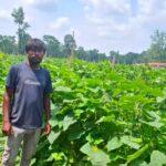  उद्यानिकी विभाग की योजना से बदली कमार कृषक की तकदीर