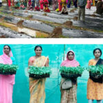  ​जलवायु परिवर्तन के दौर में किसानों के लिए वरदान बनेगी ग्राफ्टेड सब्जी: धमतरी में वैज्ञानिक प्रशिक्षण संपन्न