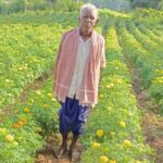 धान से गेंदा की खेती की ओर बढ़े आनंद राम, 0.400 हेक्टेयर में कमाया 3.96 लाख रुपए’
