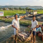 बदलाव की मिसाल : बदली किसानों की किस्मत प्रधानमंत्री मत्स्य संपदा योजना से