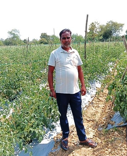 सेवा की कहानी : कम पानी में खीरे की खेती से मुकेश ने कमाए 2.25 लाख रुपये, अब 4 एकड़ में टमाटर की तैयारी