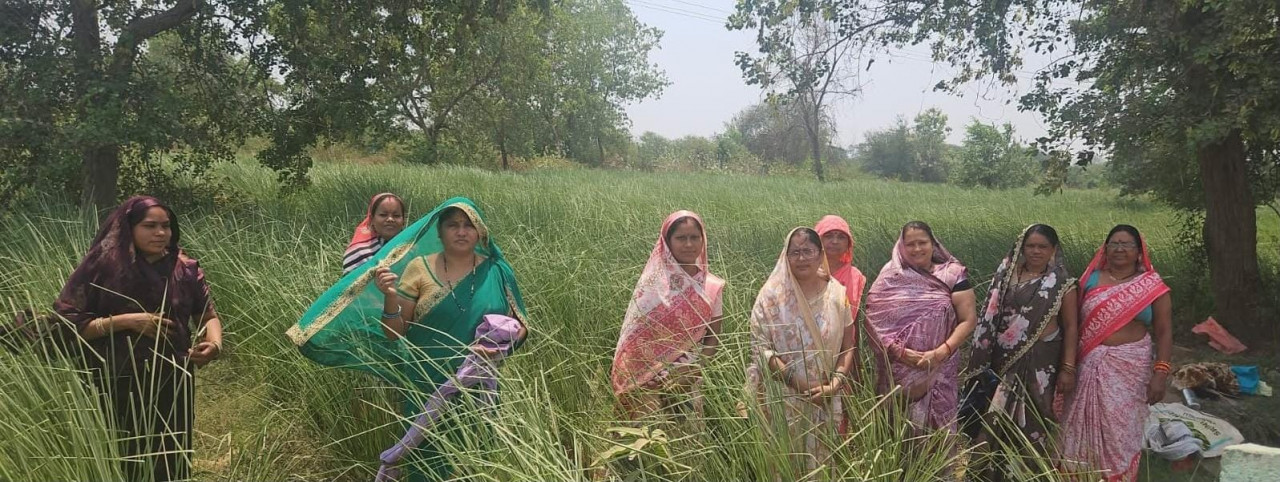 नवाचार से स्वावलंबन : परखंदा की महिलाओं ने खस की खुशबू से रची आर्थिक आजादी की नई इबारत