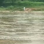 धमतरी के सिरसिदा में उफान के बीच फंसा मारुति धाम का पुजारी